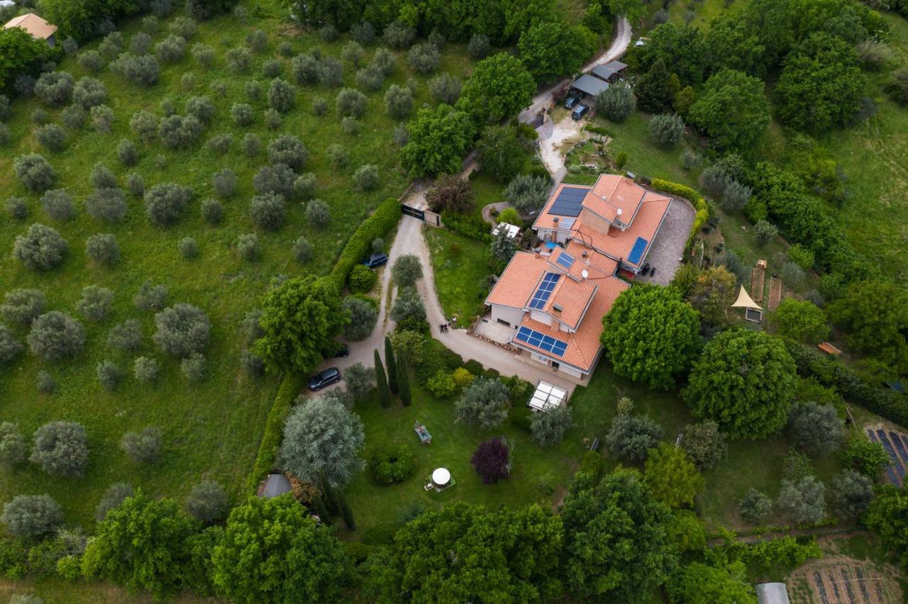 Bio & B - Italyke Bed & Breakfast Viterbo Exterior photo